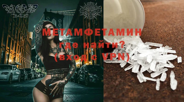 прущие грибы Покачи