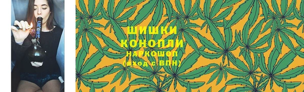 сатива Абдулино