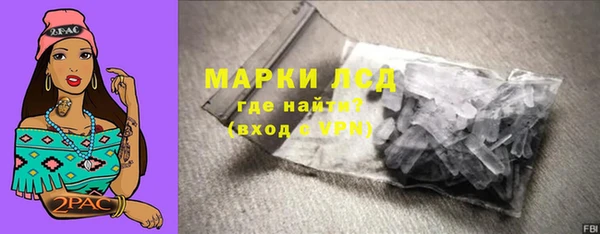 прущие грибы Покачи