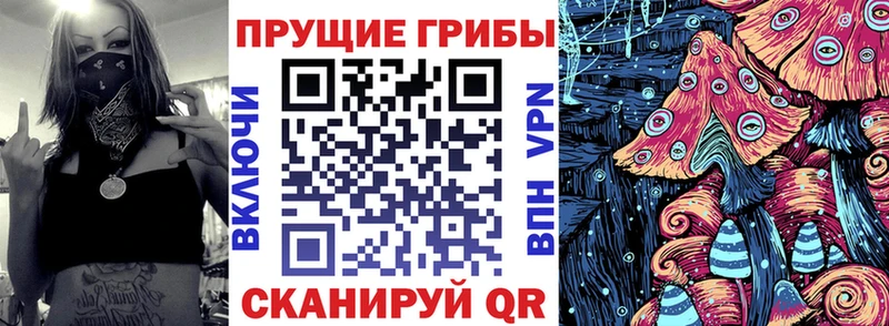 сколько стоит  Мосальск  Галлюциногенные грибы Psilocybine cubensis 